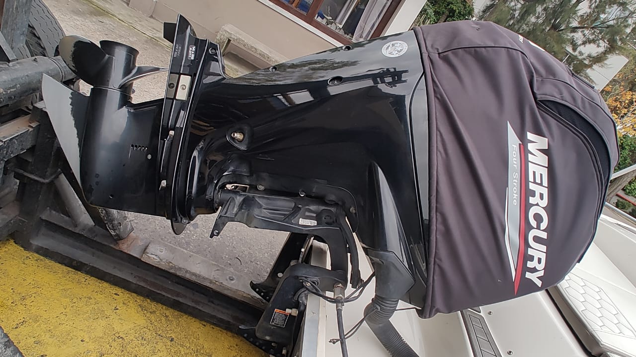 Canestrari 168 open SP 2024 Mercury 90 hp 